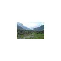 sales 10 bigha commercial /residential land in bhuntar