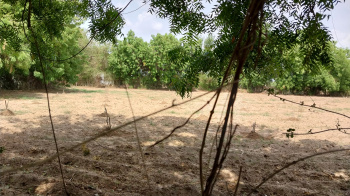 Property for sale in Halol, Panchmahal