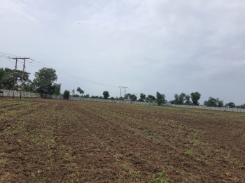 Agricultural/Farm Land for Sale in Umeta, Vadodara (135000 Sq.ft.)