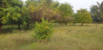 Pushti Realty Akota Vadodara Plot For Sale