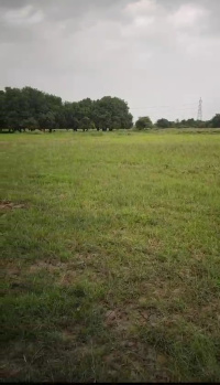 Kamlapura agriculture land for sale Waghodia Parul University