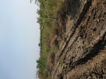 Property for sale in Waghodia, Vadodara