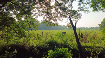 3 Lakhs sq ft land sale in Bhayli Vadodara