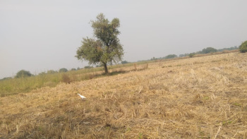 4 bigha commercial plot opp Parul University Vadodara