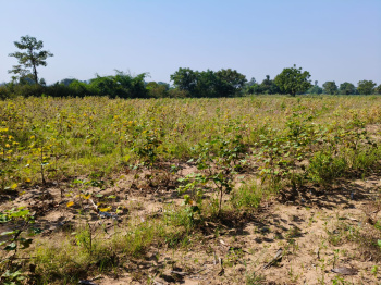 Property for sale in Waghodia, Vadodara