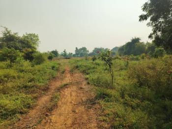 Bhayli Near D Mart plot for sale