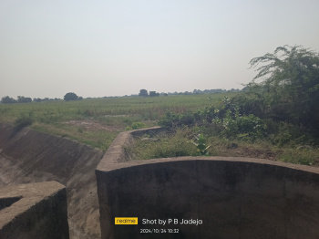 500 Acre Agricultural/Farm Land for Sale in Limbdi, Surendranagar