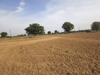Agricultural/Farm Land for Sale in Rapar, Kutch (1000 Acre)