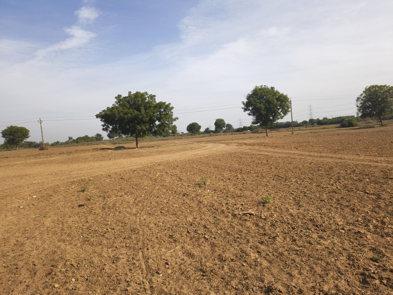 Agricultural/Farm Land for Sale in Rapar, Kutch (1000 Acre)