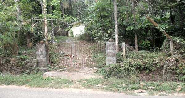 Residential Plot for Sale in Kozhikode (1.40 Acre)