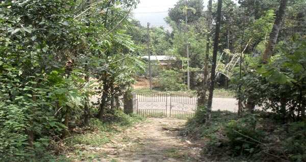 Residential Plot for Sale in Kozhikode (1.40 Acre)