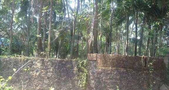 Residential Land / Plot for Sale at Calicut (24 Cent)