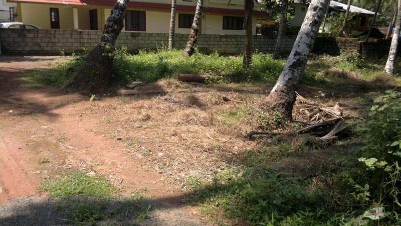 Pavangad 9 Cent Residential Land for Sale