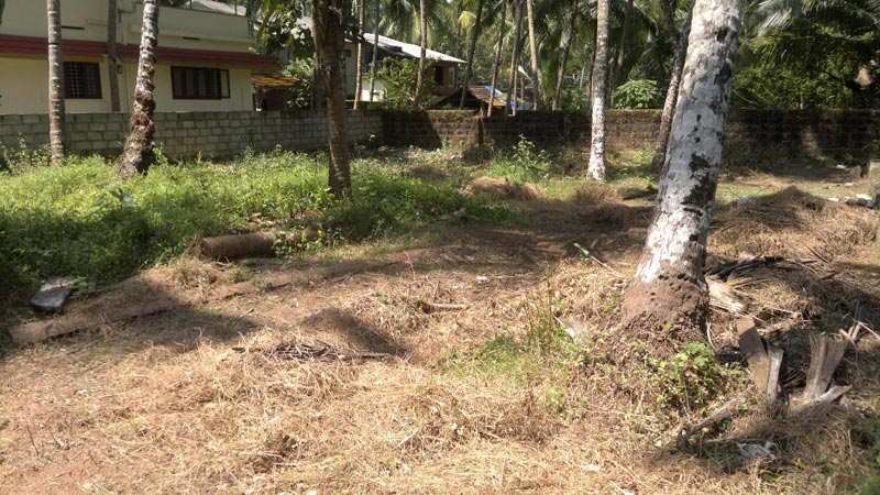 Pavangad 9 Cent Residential Land for Sale