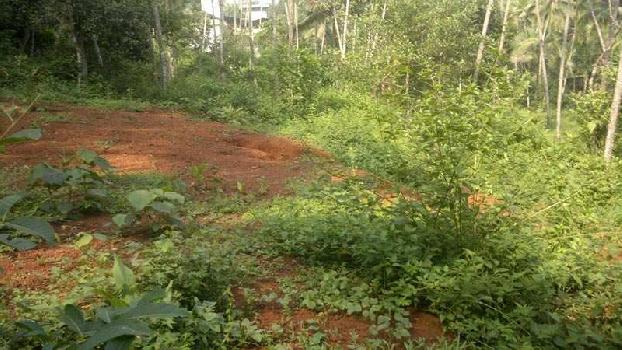 Excellent 60 Cent Commercial Land For Sale In Calicut. Near Medical College