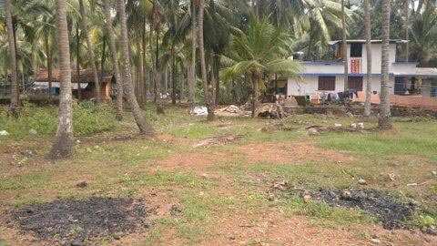 Residential Plot for Sale in Calicut (Kozhikode) (50 Cent)