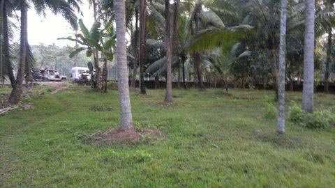 Commercial Lands & Plots for Rent in Calicut (1.75 Acre)
