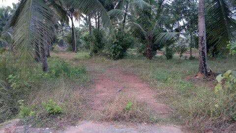 Commercial Lands & Plots for Rent in Calicut (10 Acre)