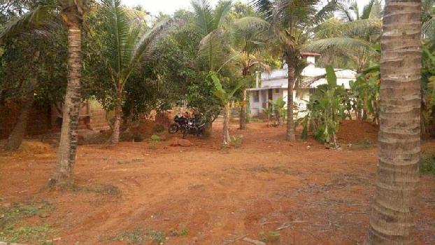 Commercial Lands /Inst. Land for Sale in Calicut (Kozhikode) (1.50 Acre)
