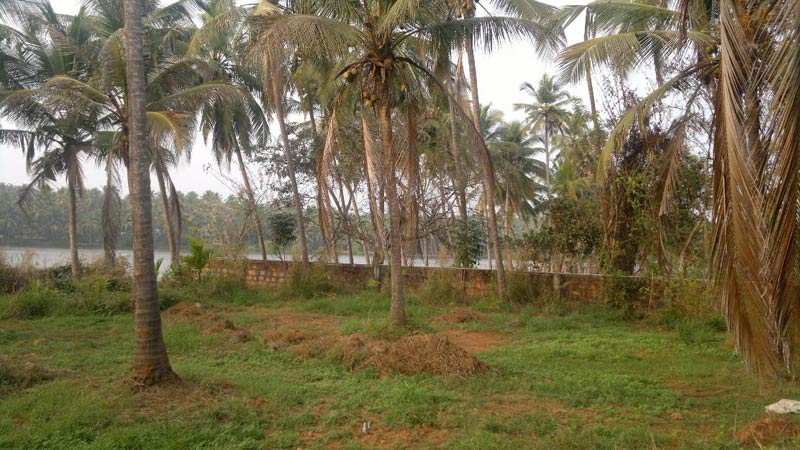 Commercial Lands /Inst. Land for Sale in Calicut (Kozhikode) (1.50 Acre)