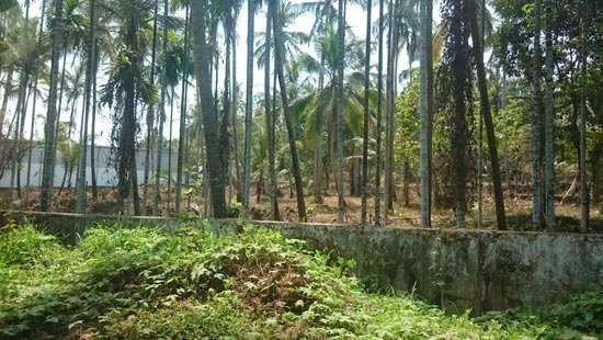 2 Acre  commercial Land for sale in  Mavoor road.