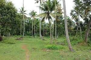 18 cents residential land for sale in Karaparamba Calicut