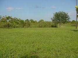 Mannarkkad Tipu Sultan Main Road frontage 1.60 Acre land for sale