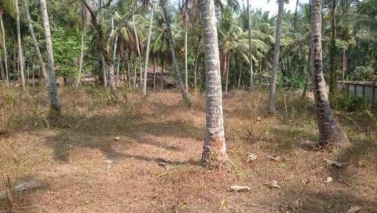 10 Acre Residential Land for sale  in Cheekkilode, Calicut.