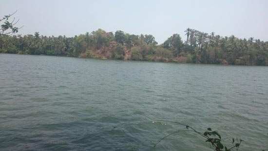1 Acre waterfront land for sale in Chathamangalam, Calicut