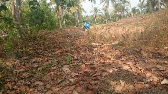 10 Cents Residential Land for sale in REC, Calicut