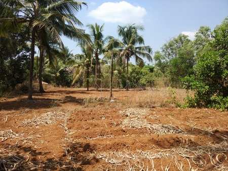 Commercial Lands /Inst. Land for Sale in Thondayad Bypass, Kozhikode (40 Cent)