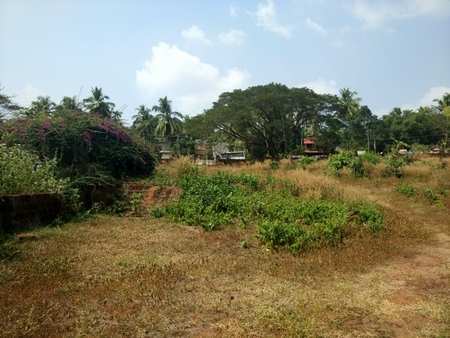 Commercial Land for Sale in Feroke, Calicut (Kozhikode) (2 Acre)