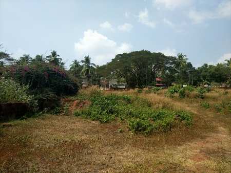 Commercial Land for Sale in Feroke, Calicut (Kozhikode) (2 Acre)