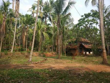 Residential Plot for Sale in Kozhikode (1.50 Acre)