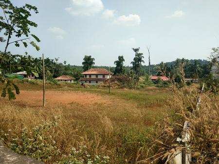 Commercial Lands /Inst. Land for Sale in Kozhikode (40 Cent)