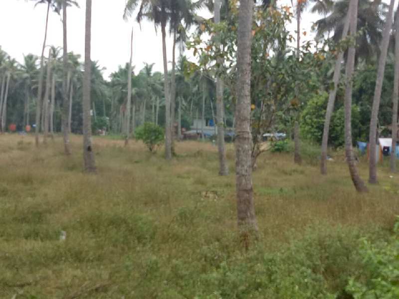 100 Meter River frontage Land for sale at Mavoor, Calicut.