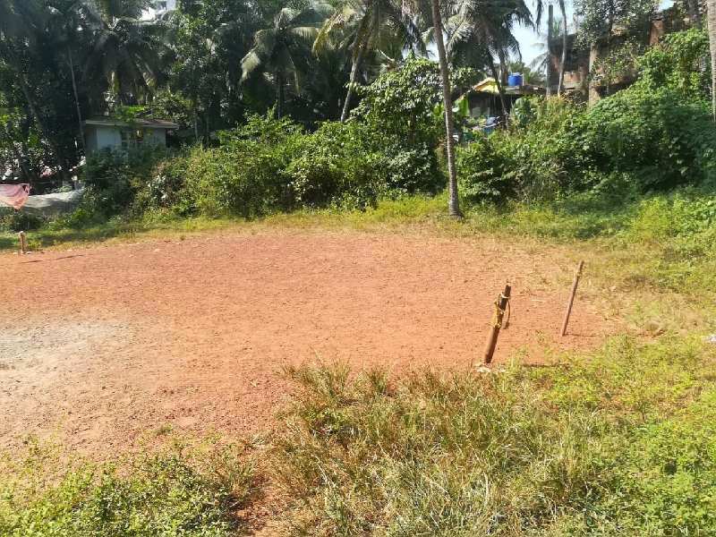 Residential Plot for Sale in Methottuthazham, Kozhikode (35 Cent)