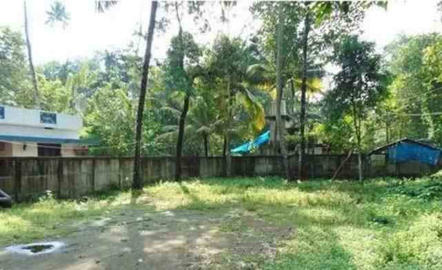 Residential Plot For Sale In Kozhikode (7 Cent)