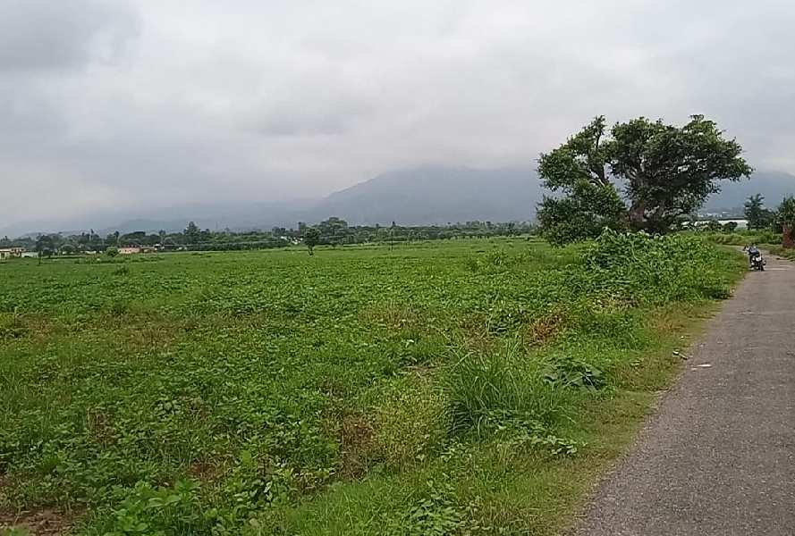 1500 Sq. Yards Agricultural/Farm Land For Sale In Sardhana Road, Meerut