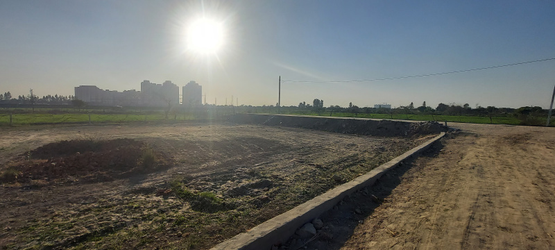 100 Sq. Yards Residential Plot for Sale in Yamuna Expressway, Greater Noida