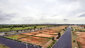 150 Sq. Yards Residential Plot for Sale in Jewar, Gautam Buddha Nagar