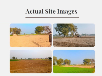 200 Sq. Yards Residential Plot for Sale in Jewar, Gautam Buddha Nagar