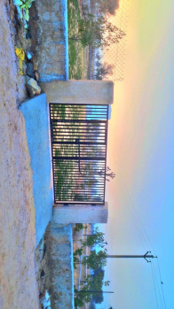 Residential Plot for Sale in Jeenmata, Sikar (250 Sq.ft.)