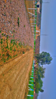 Residential Plot for Sale in Sohna Palwal Road Sohna Palwal Road, Gurgaon (60 Sq. Yards)