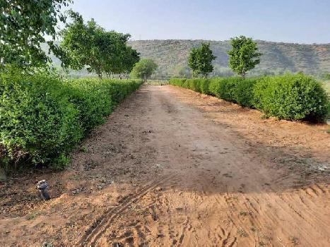 1200 Sq. Yards Agricultural/Farm Land for Sale in Sohna, Gurgaon