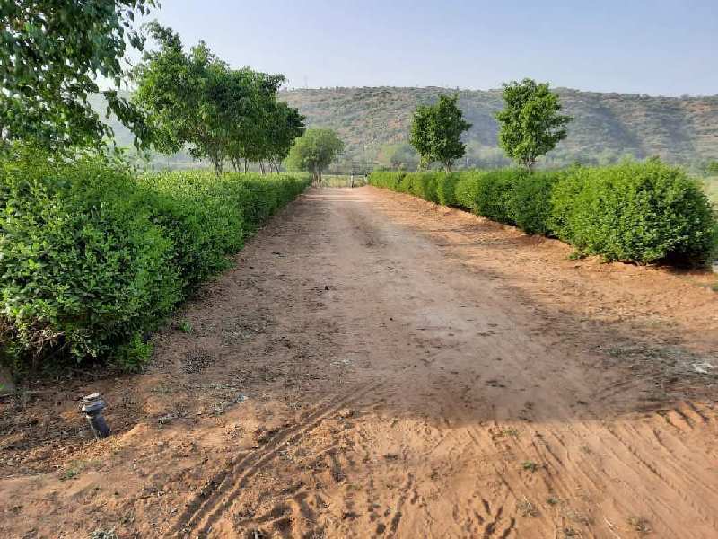 1200 Sq. Yards Agricultural/Farm Land For Sale In Sohna, Gurgaon