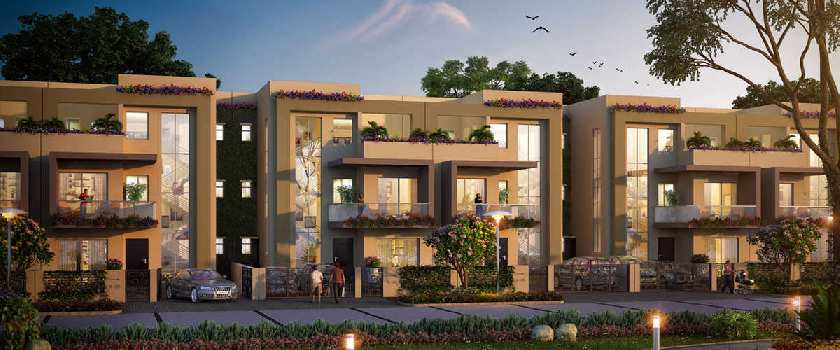 3 BHK Individual Houses / Villas for Sale in Sohna, Gurgaon (2900 Sq.ft.)