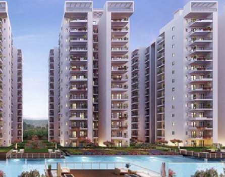 4 BHK Flats & Apartments for Sale in Sector 33, Gurgaon (1317 Sq.ft.)