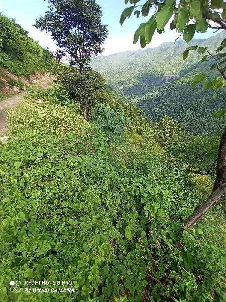 12240 Sq. Meter Agricultural/Farm Land For Sale In Mussoorie, Dehradun