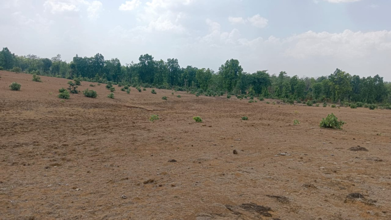 Agricultural/Farm Land For Sale In Bandhavgarh National Park, Umaria (8 Acre)